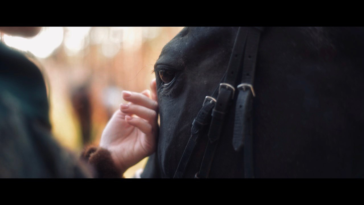 Съемка по мотивам фильма «Властелин колец». Фотограф-режиссер Анастасия Вронская | Кинематографическая фотография