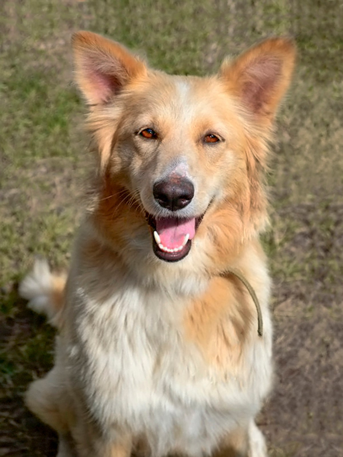 Волонтёрство. Монохромный фотограф