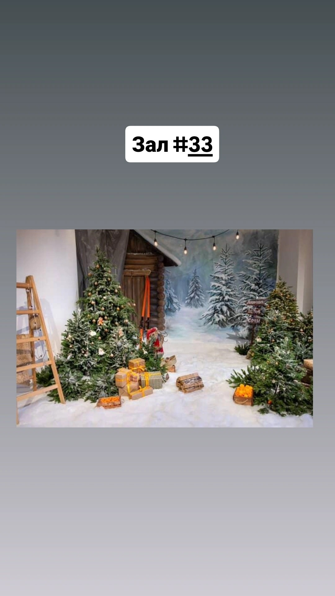 Novogodnie-fotostydii-2025