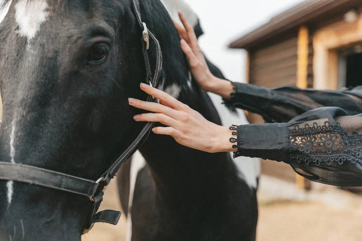 Конная прогулка история Любви. Свадебный и семейный фотограф в Краснодаре Миненко Кристина