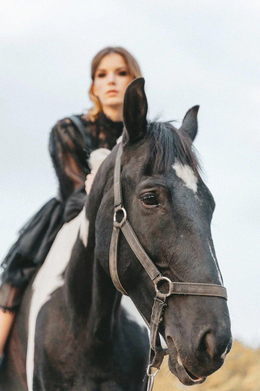 Конная прогулка история Любви. Свадебный и семейный фотограф в Краснодаре Миненко Кристина