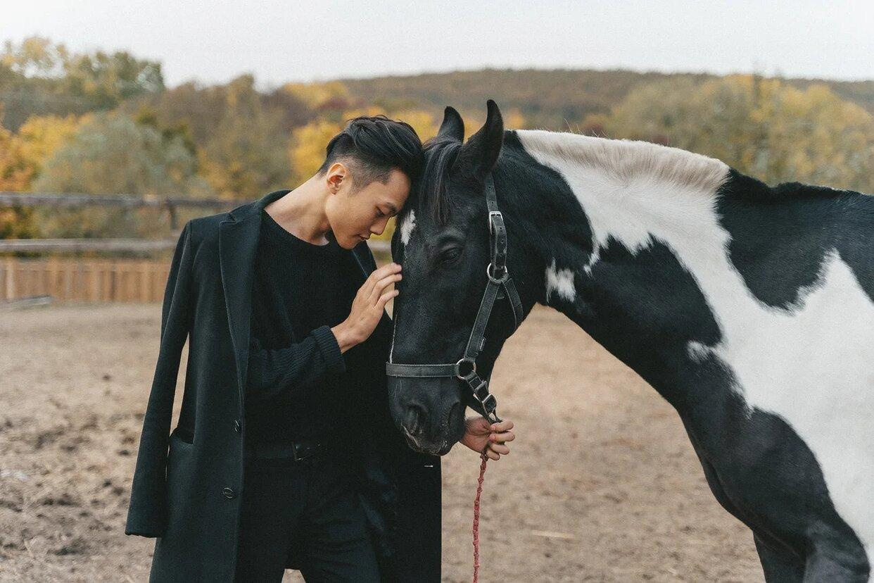 Конная прогулка история Любви. Свадебный и семейный фотограф в Краснодаре Миненко Кристина