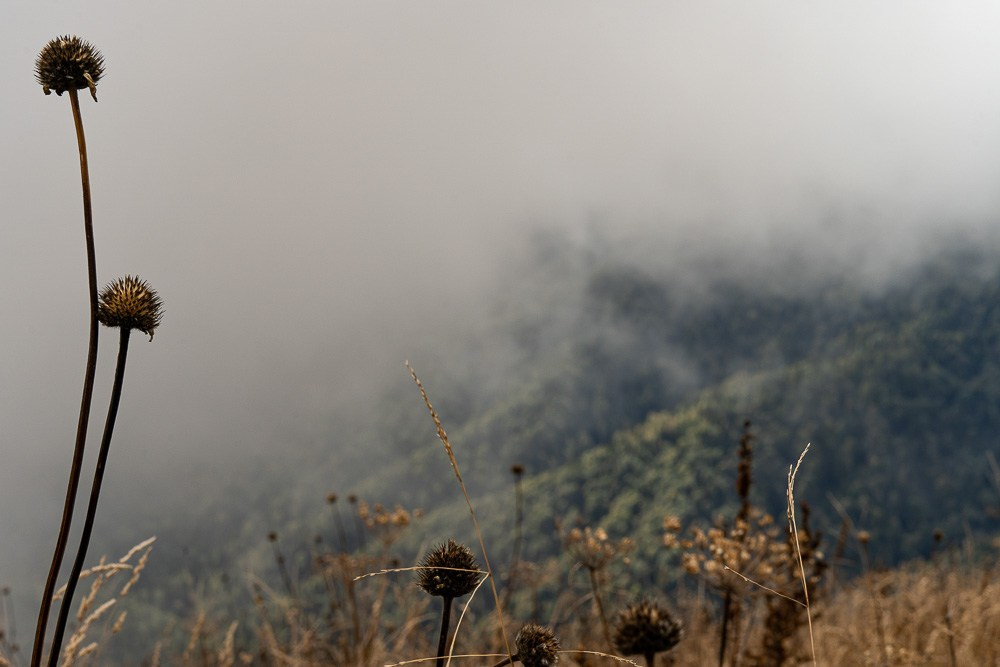 Трейловый бег «Альпиндустрия. Три курорта''. Репортажный фотограф в Красной Поляне и Сочи Павлюченко Екатерина