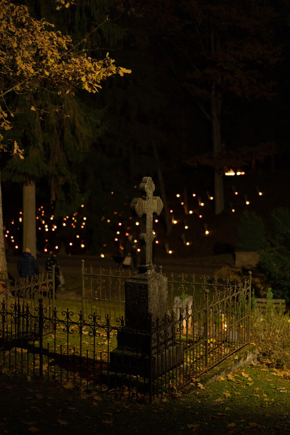 Visų šventųjų diena. Photographer in Vilnius