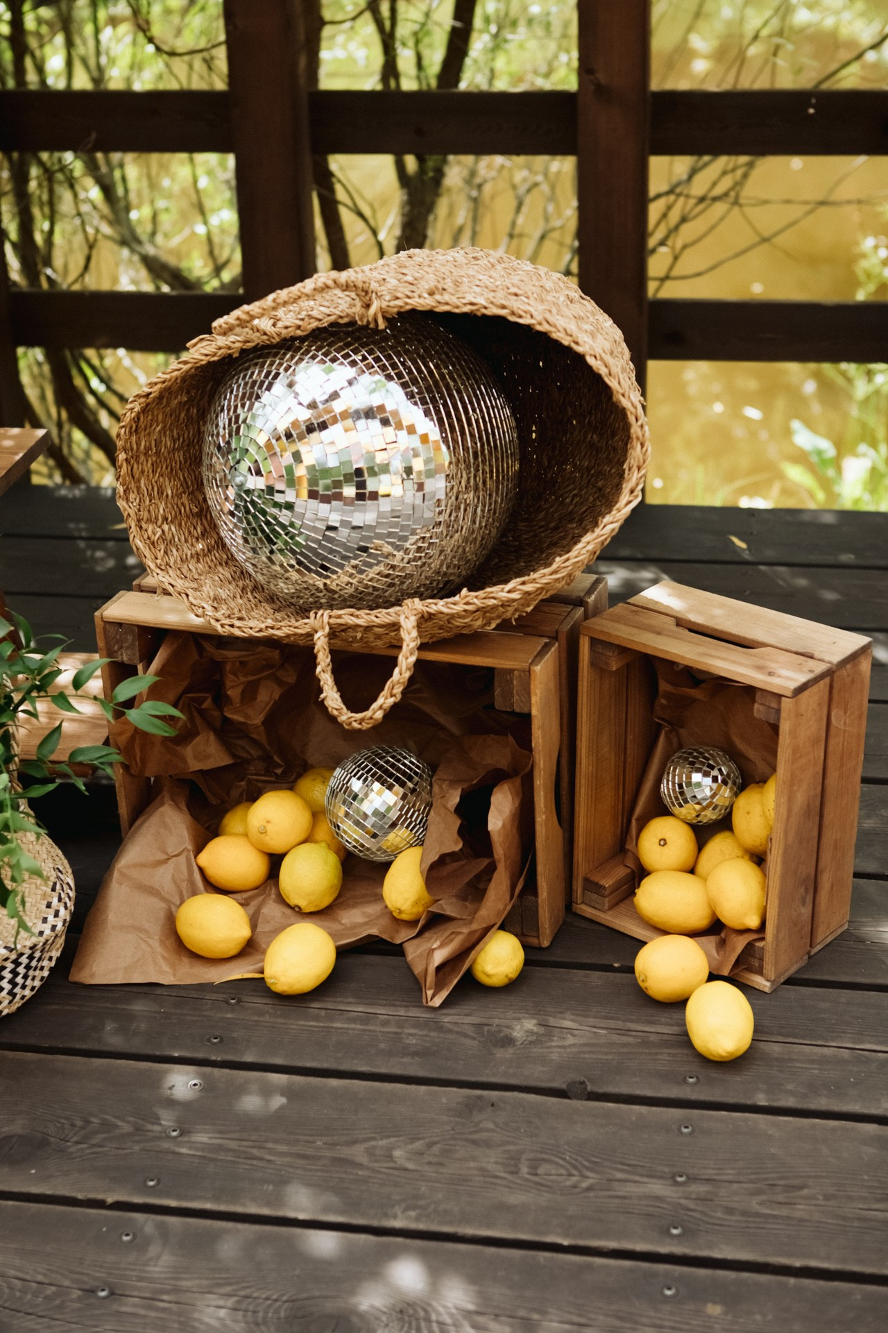 Диана и Инал