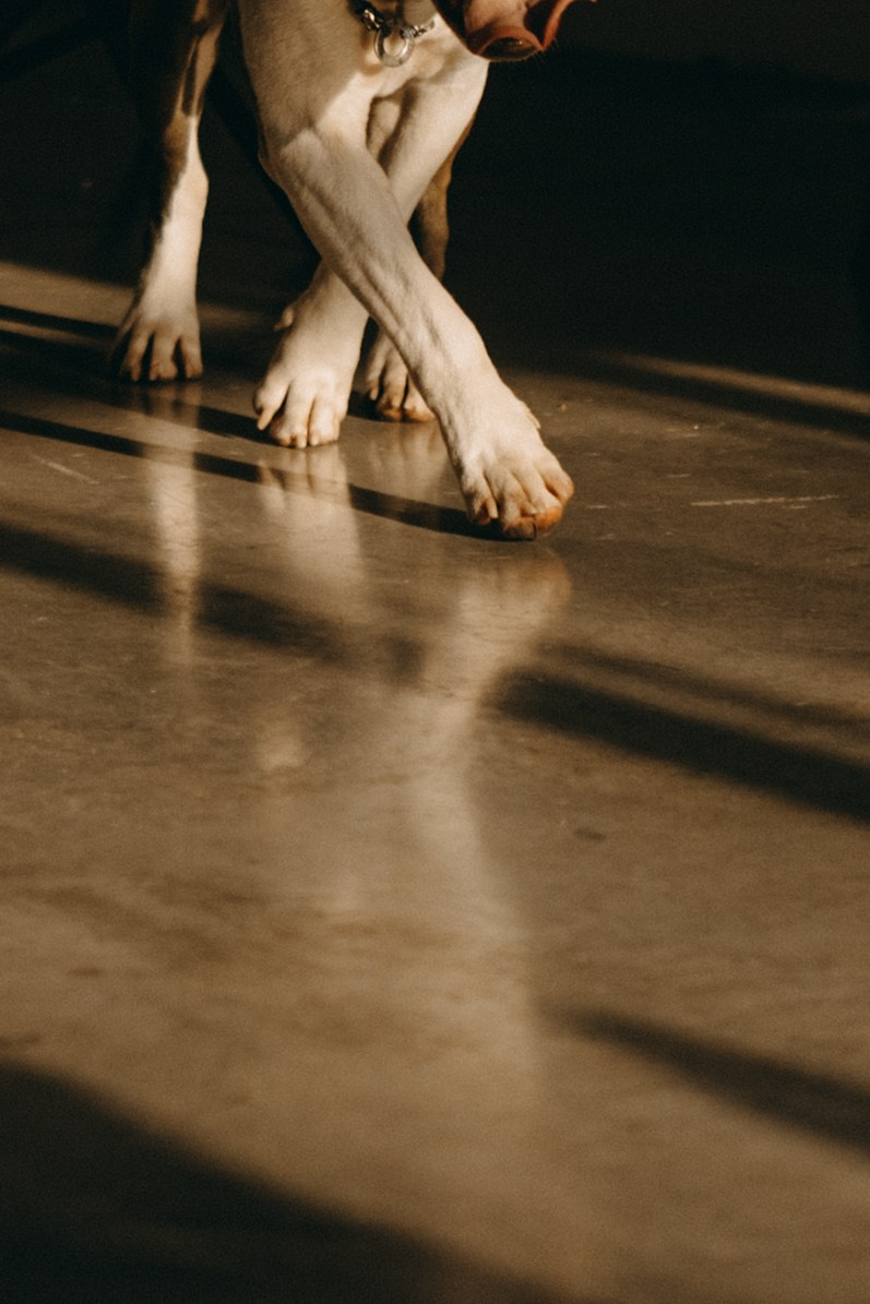 Саша и Кракен. Фотограф — Анималист | Санкт-Петербург