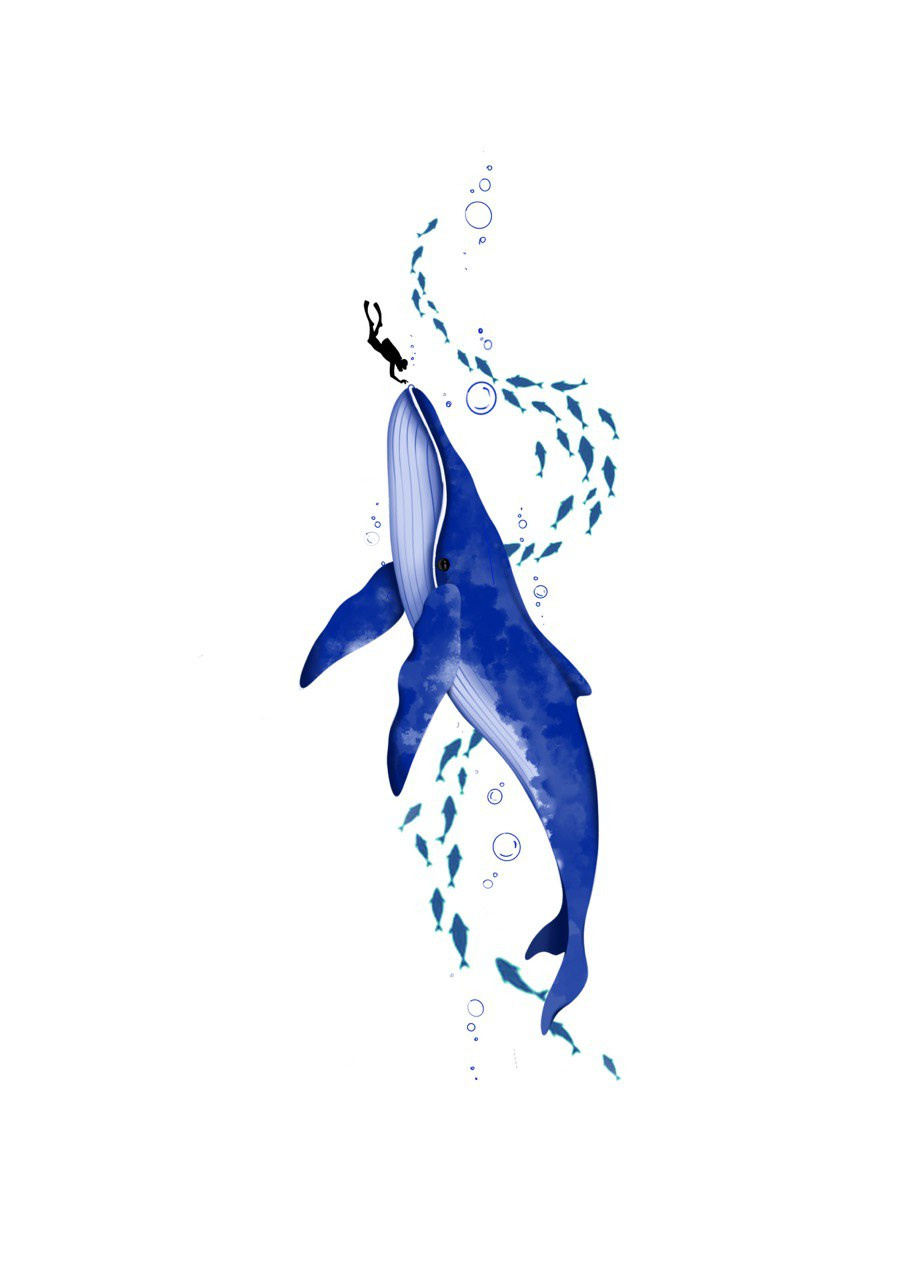 Влада Витковская. Обучение тату Хабаровск. Диплом гос.образца. татуировки Хабаровск