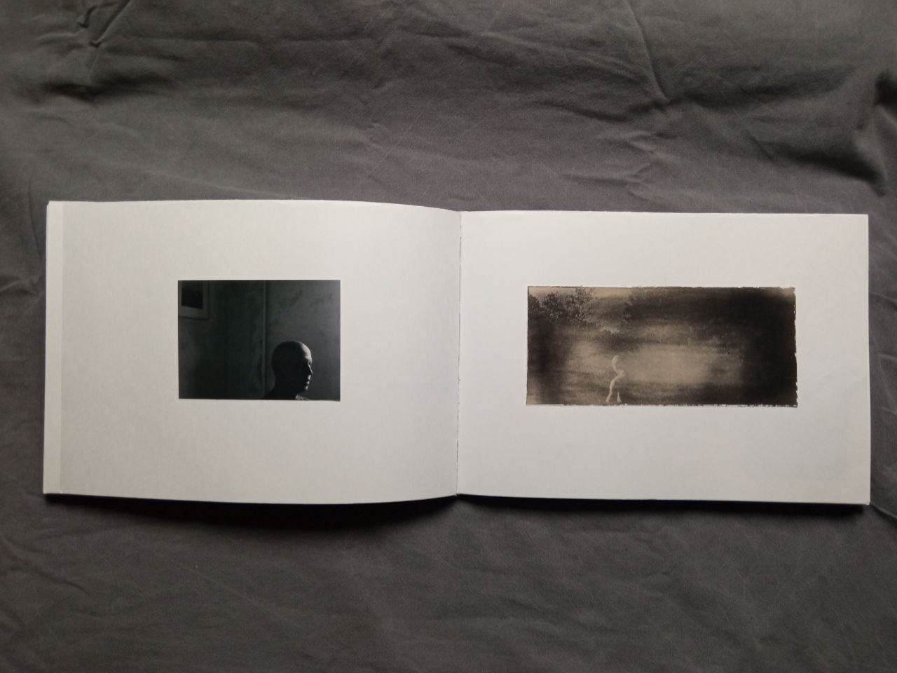 Максим Юданов | Деревья, трава и камни. Private image