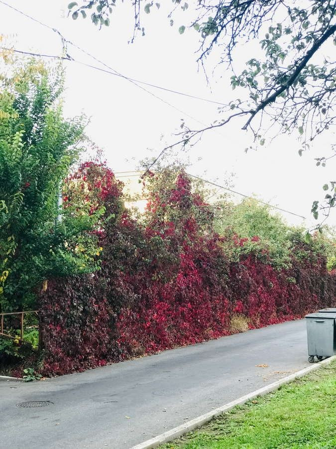 Фотосессия в арт-пространстве — световые инсталляции и декор