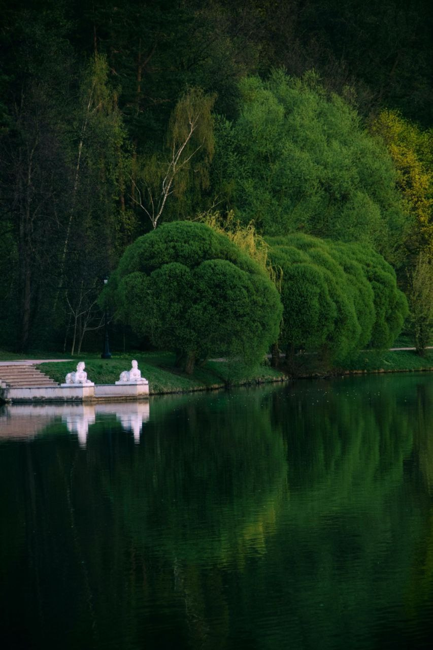 Nature. Фотограф/Видеограф