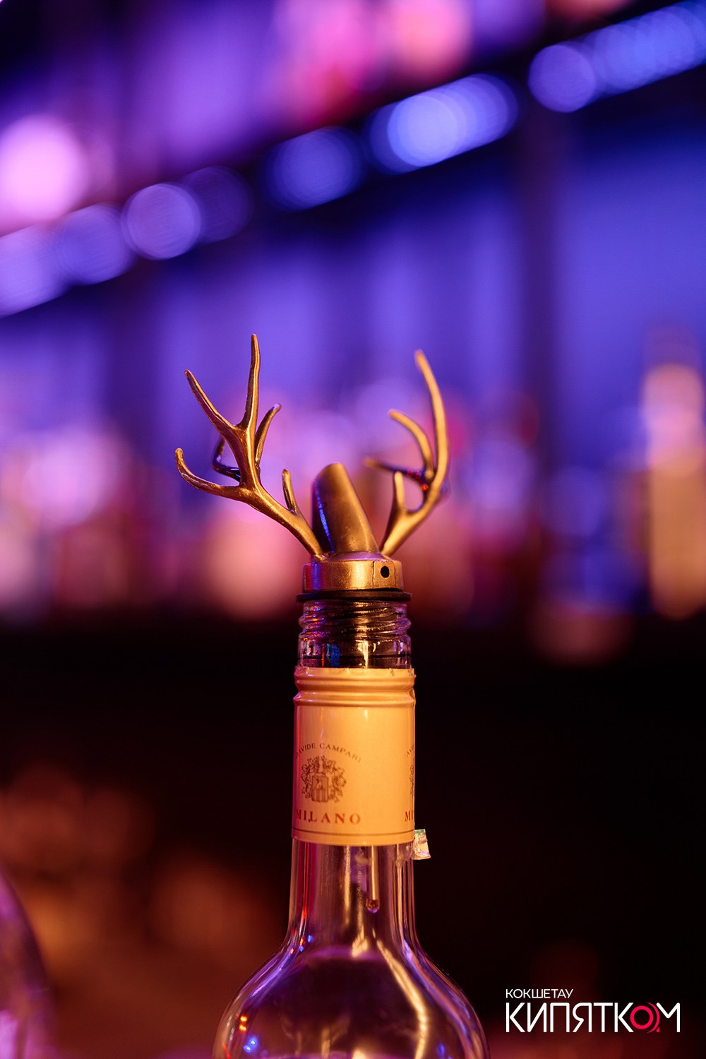 THE SHOW. КИПЯТКОМ КОКШЕТАУ