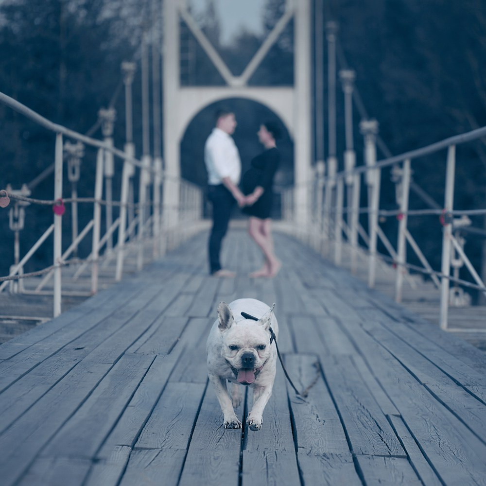 9 MONTHS. Арт-фотограф и преподаватель Анна Гражданкина