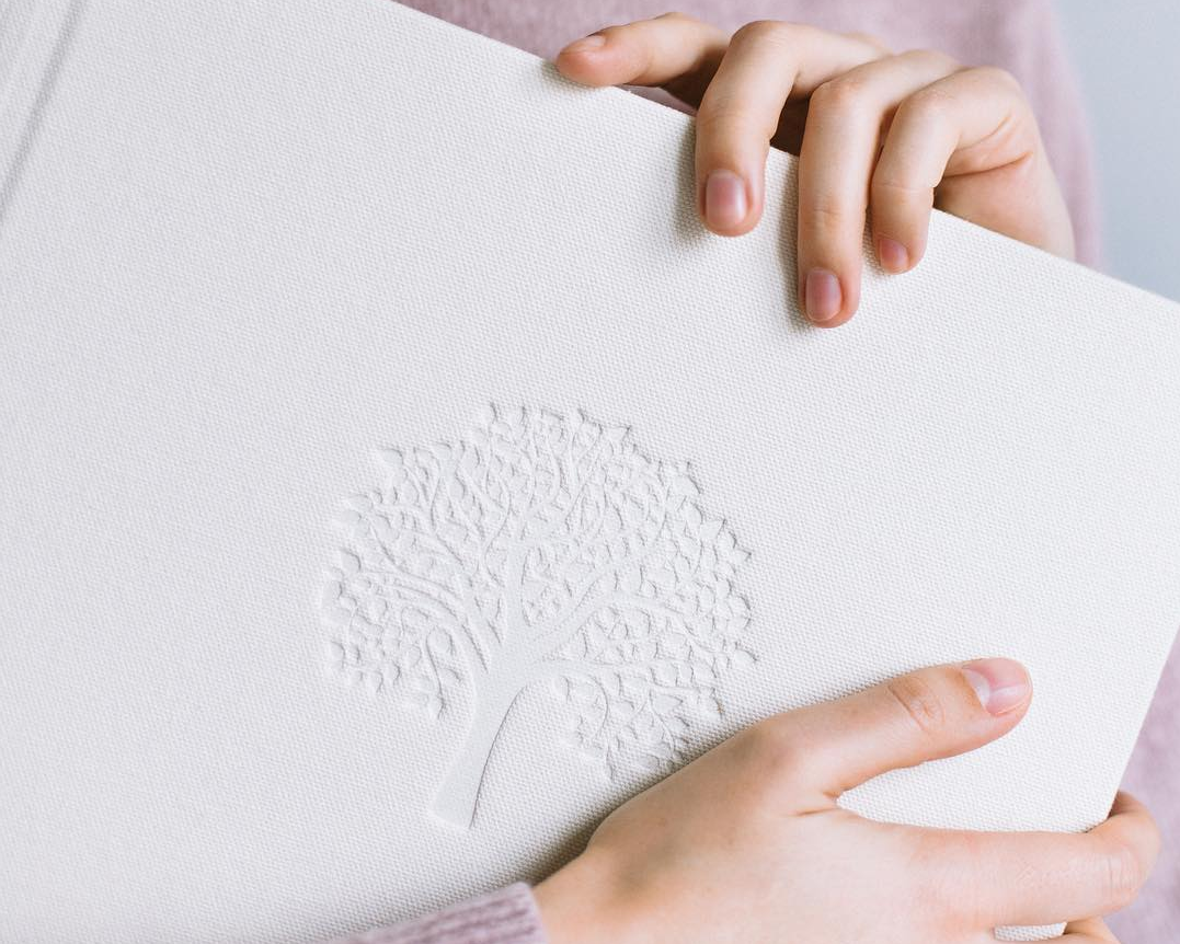 Испанский хлопок. Павел Будаев фотограф pro Улан-Удэ_Агинское_Иркутск