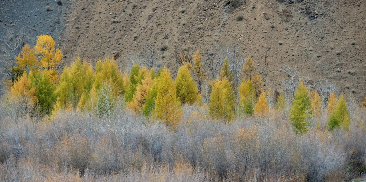 Алтай. Фотограф Евгений Андреев