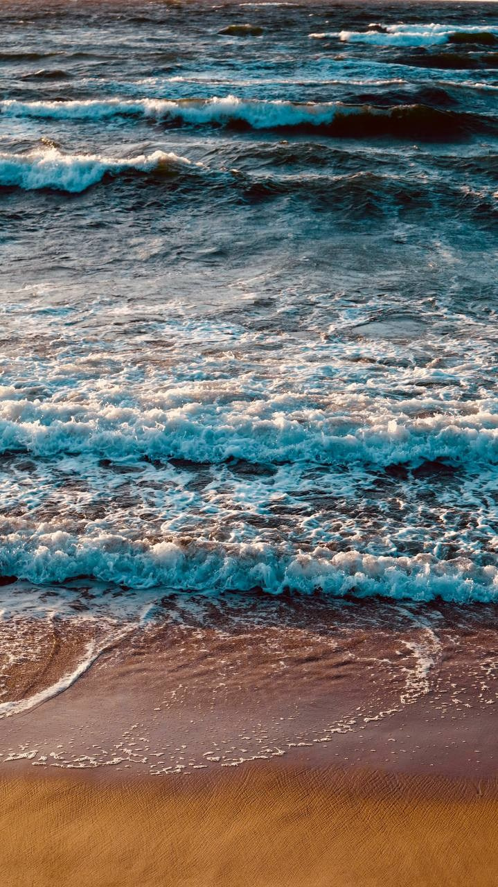 Калининград 2025. Фотограф Михаил Олейник