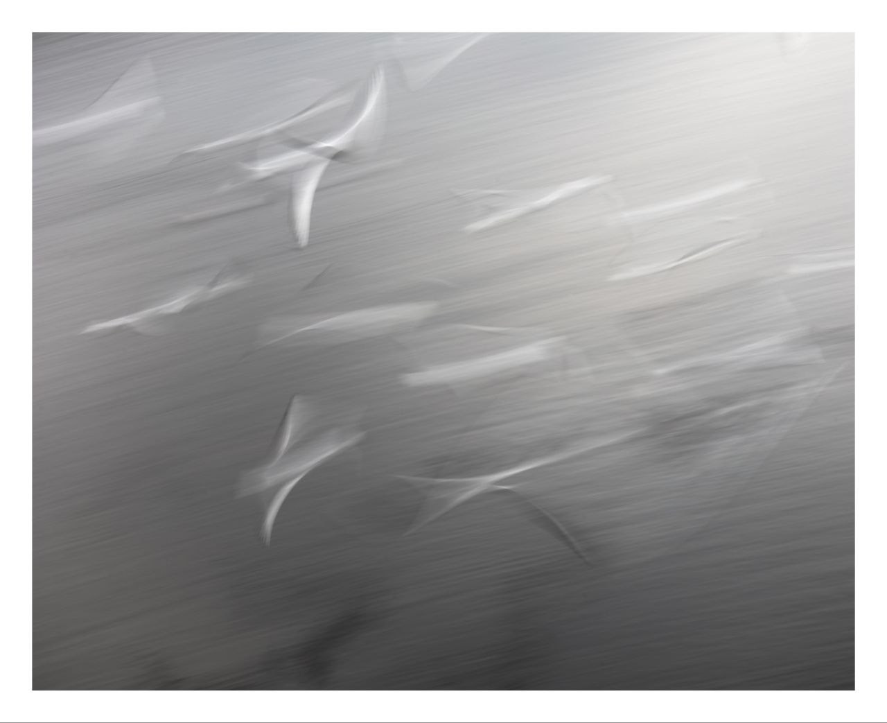 Облачный поток. Мастерская Демченко