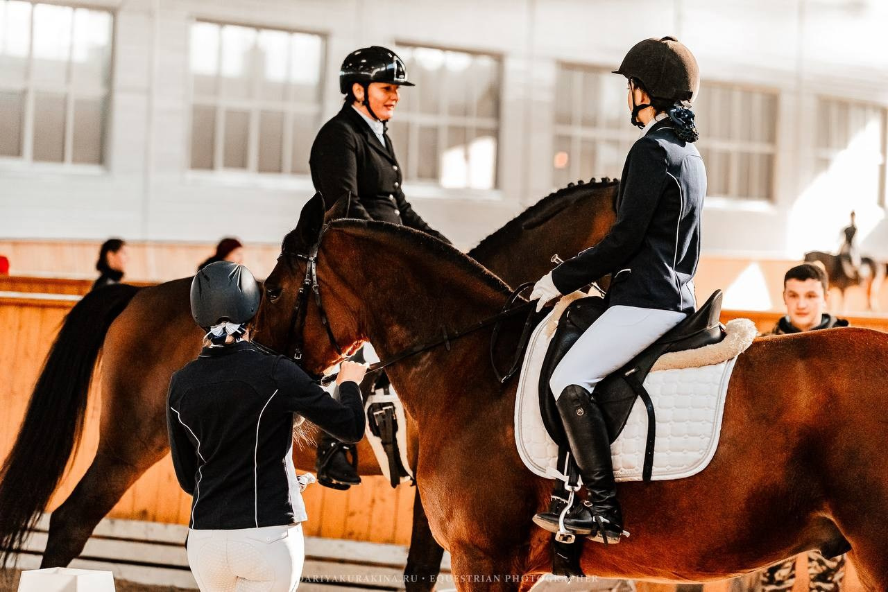 ЗОЛОТАЯ ОСЕНЬ КСК «КОНКОРД», ВЫЕЗДКА. Конный фотограф Куракина Дарья • Фотосессии с лошадьми