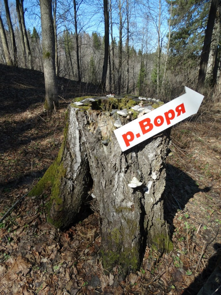 «Весенний переполох» Загородный выезд | 16-17.04.2016. Галерея Фантим