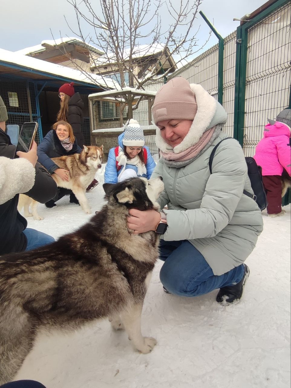 В гости к северным оленям | 02.12.2023. Галерея Фантим