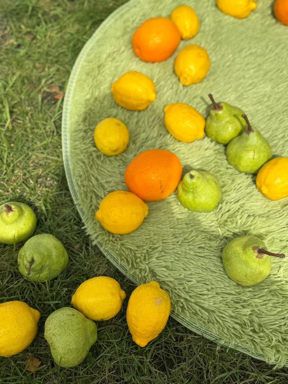 Свадьбы. Свой Декор — оформление и декор мероприятий и свадебных торжеств в Москве и Московской области