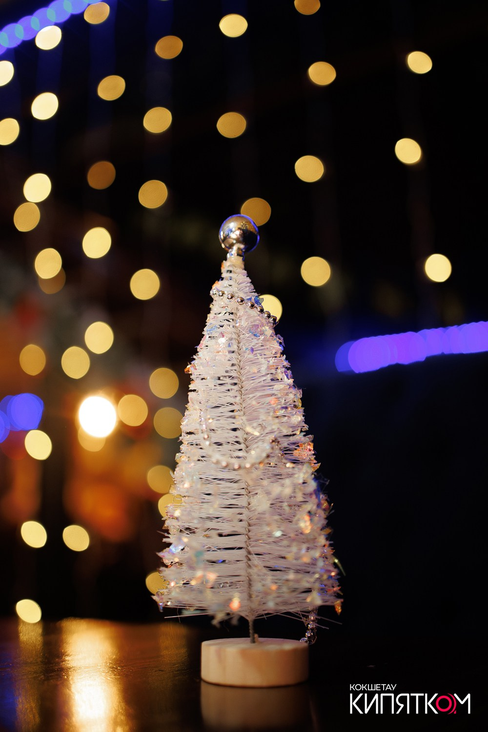 WOW QUIZ. КИПЯТКОМ КОКШЕТАУ