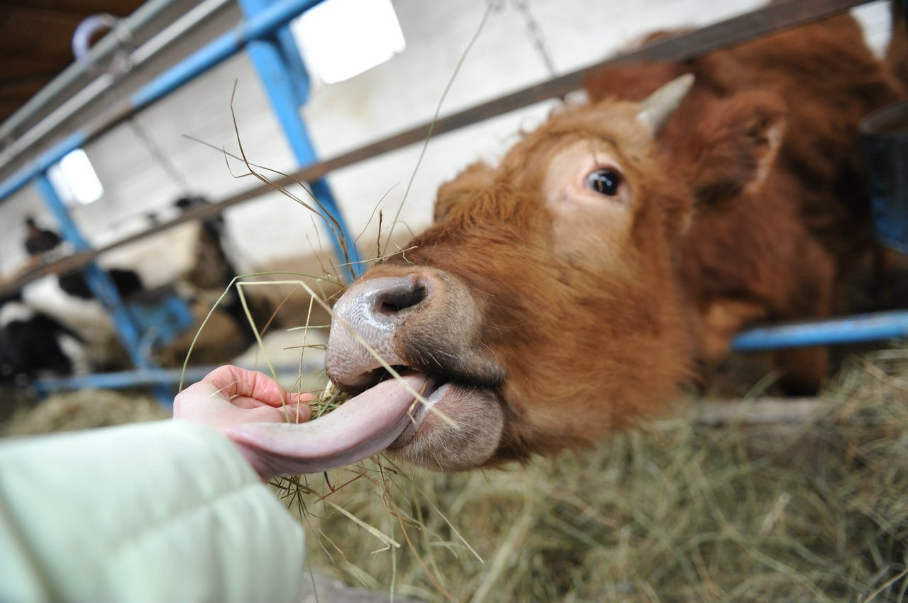 МОЙ 2014. Фотограф
