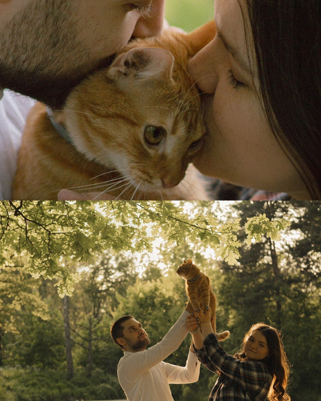 Макс и его семья. Фотограф — анималист •love-story•|Санкт-Петербург