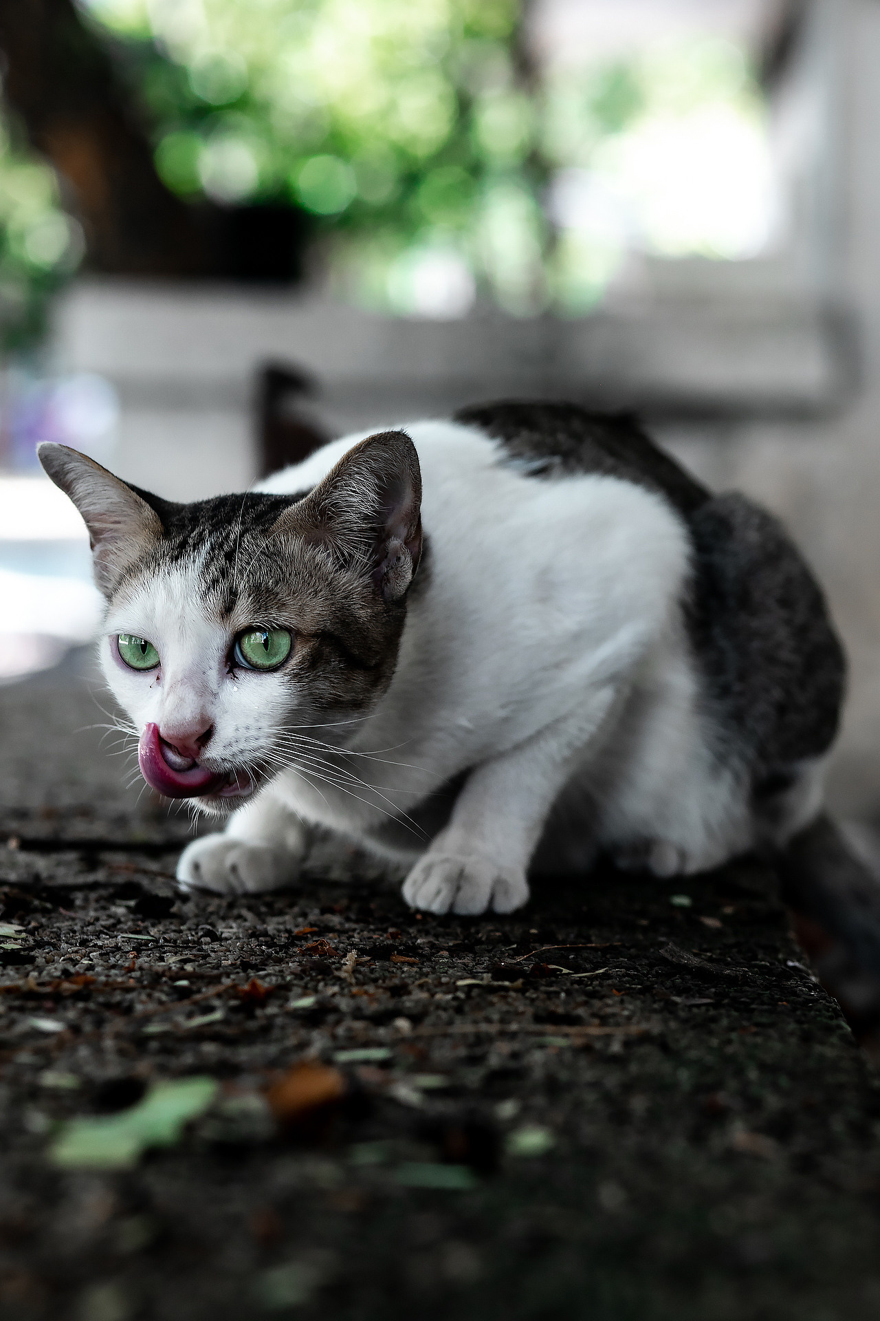 Бангкок. Свадебный фотограф ростов-на-Дону / Сочи / Москва