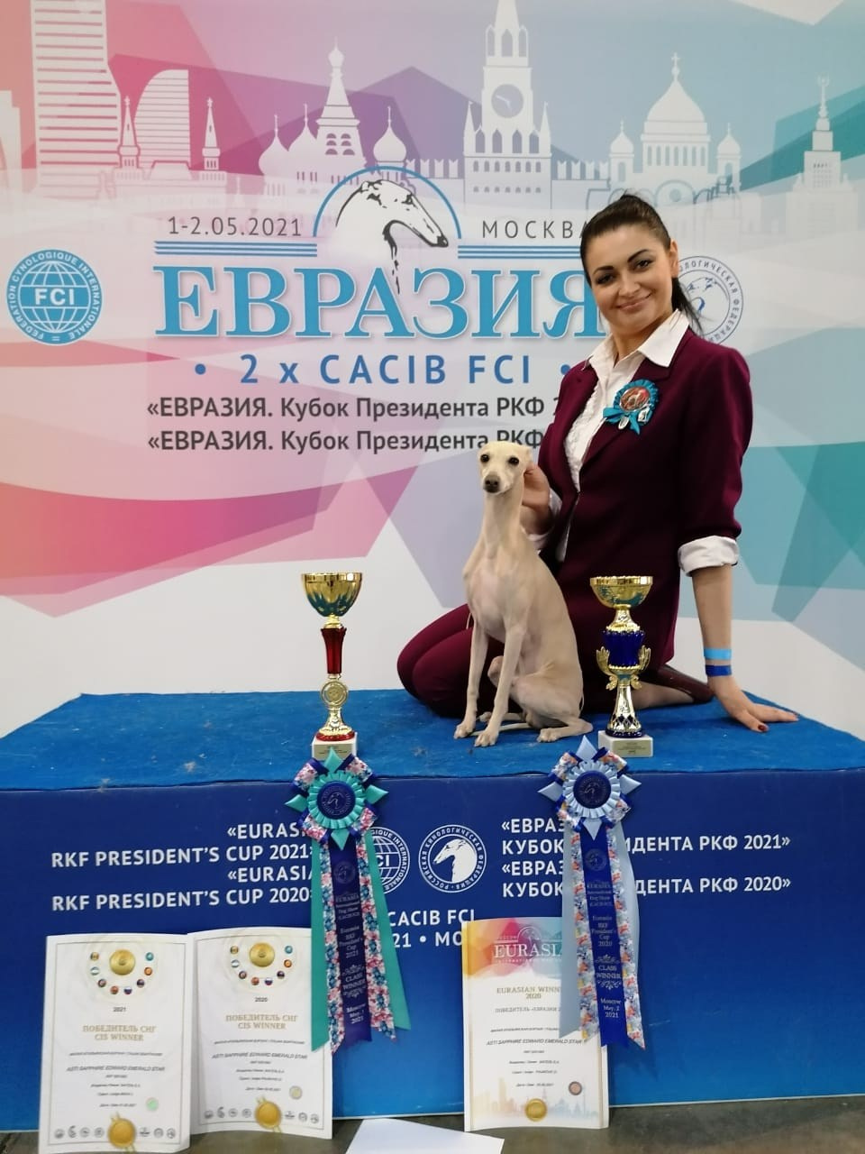 Наш самый звёздный выпускник. Professional Italian Greyhound Kennel RKF/FCI ASTI SAPPHIRE 💎 Sochi|St. Petersburg