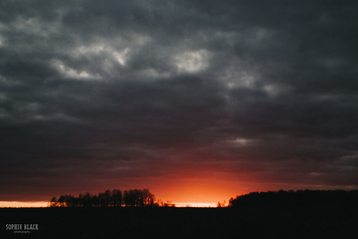 Ты мое пламенное племя. Соня Черных (sophieblack)