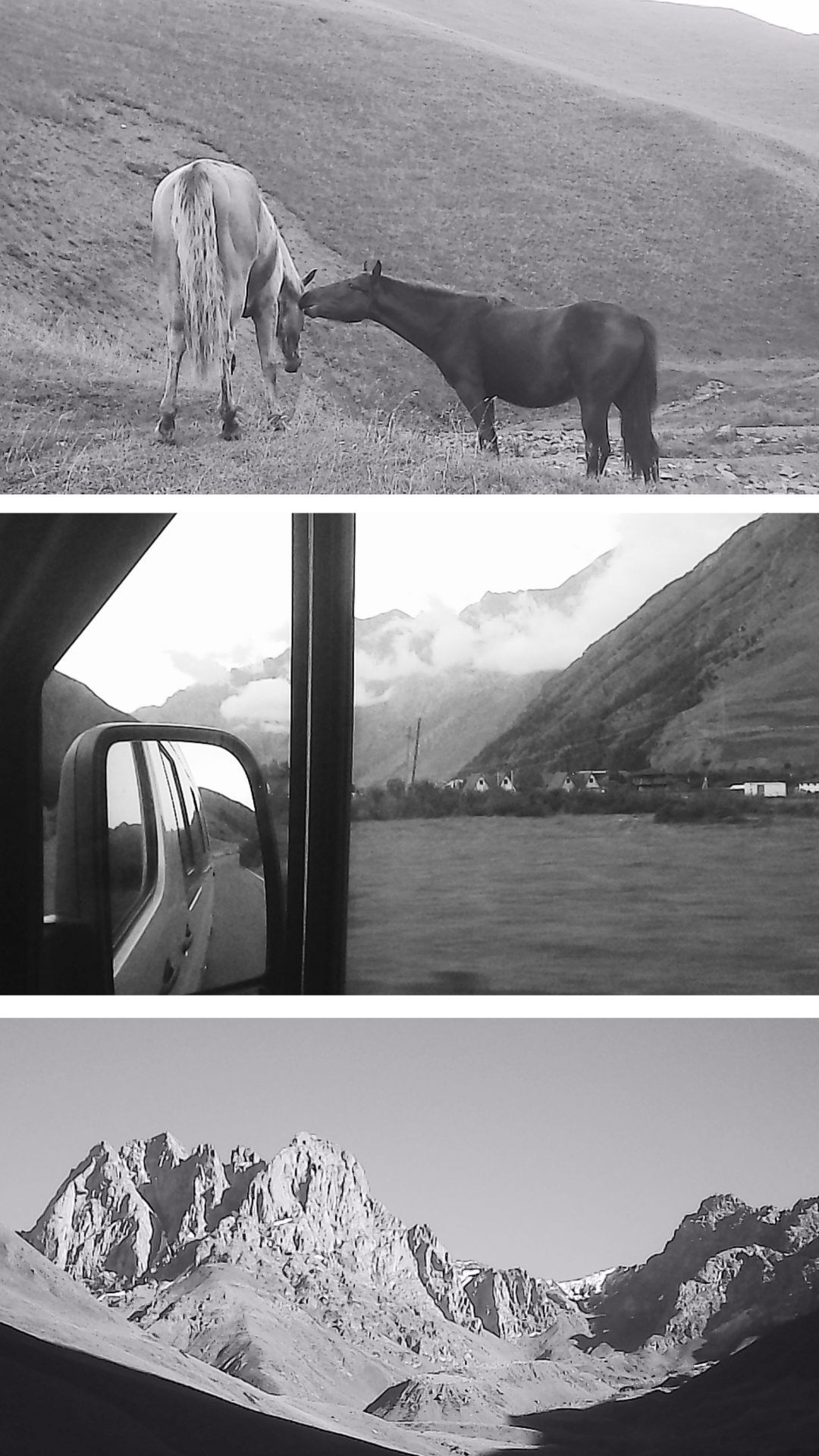 «Крошка 🐣». Anita_photo