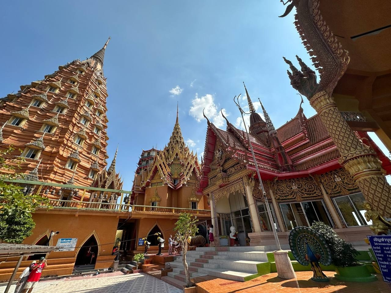 Таиланд | январь–февраль 2024. Галерея Фантим