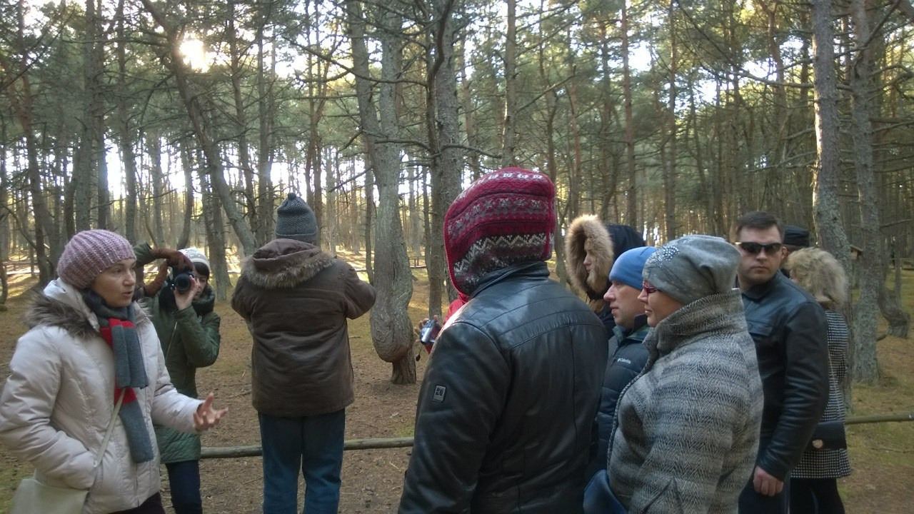 Калининград | 24-26.10.2014. Галерея Фантим