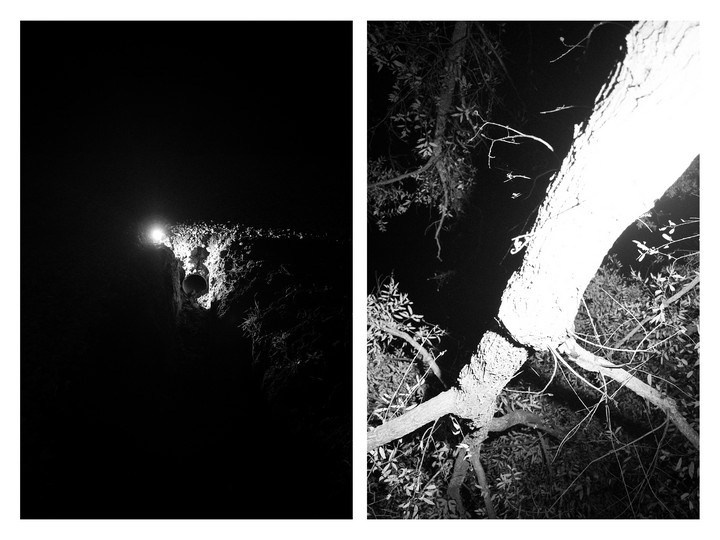 Арт фотограф в Москве, Цуканов Александр