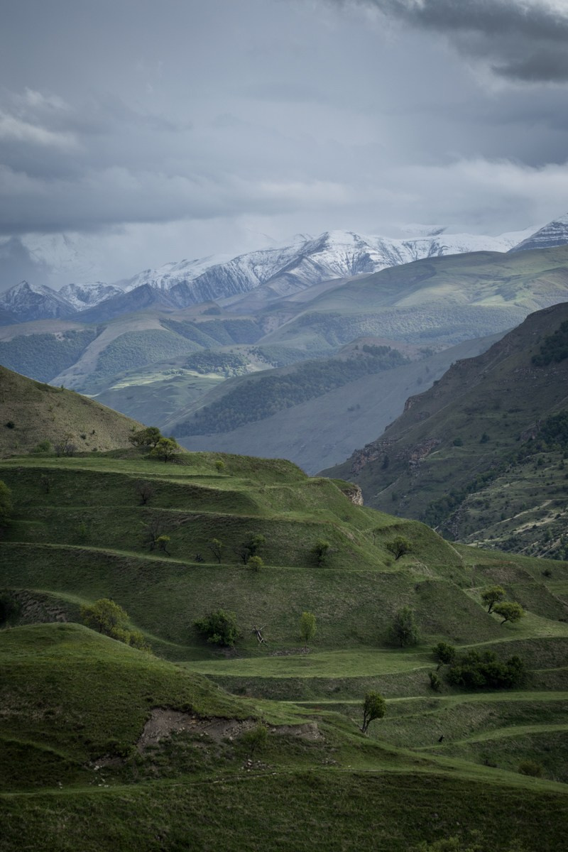 Горы. Photomantis