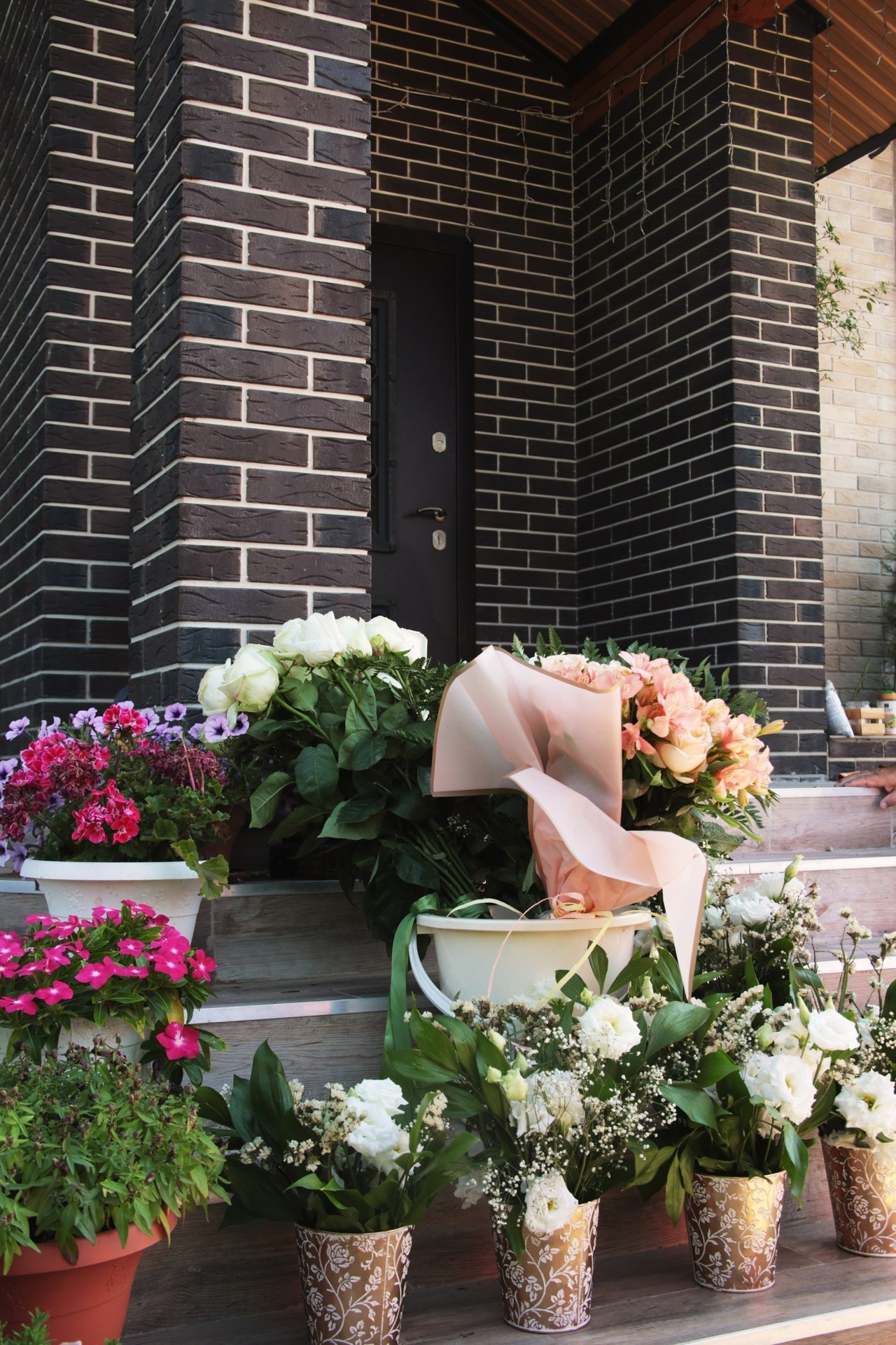 Отзывы. Foto-creator Alisa Zobova