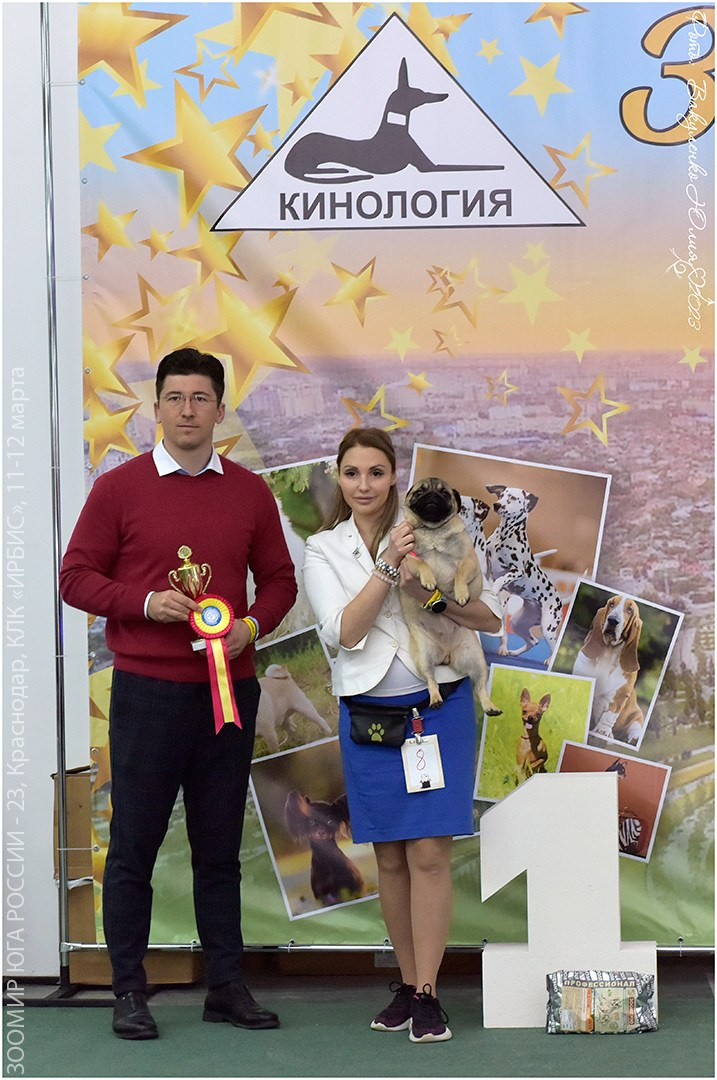 Репортаж. Фотограф анималист | семейный Юлия Вакуленко, г. Краснодар