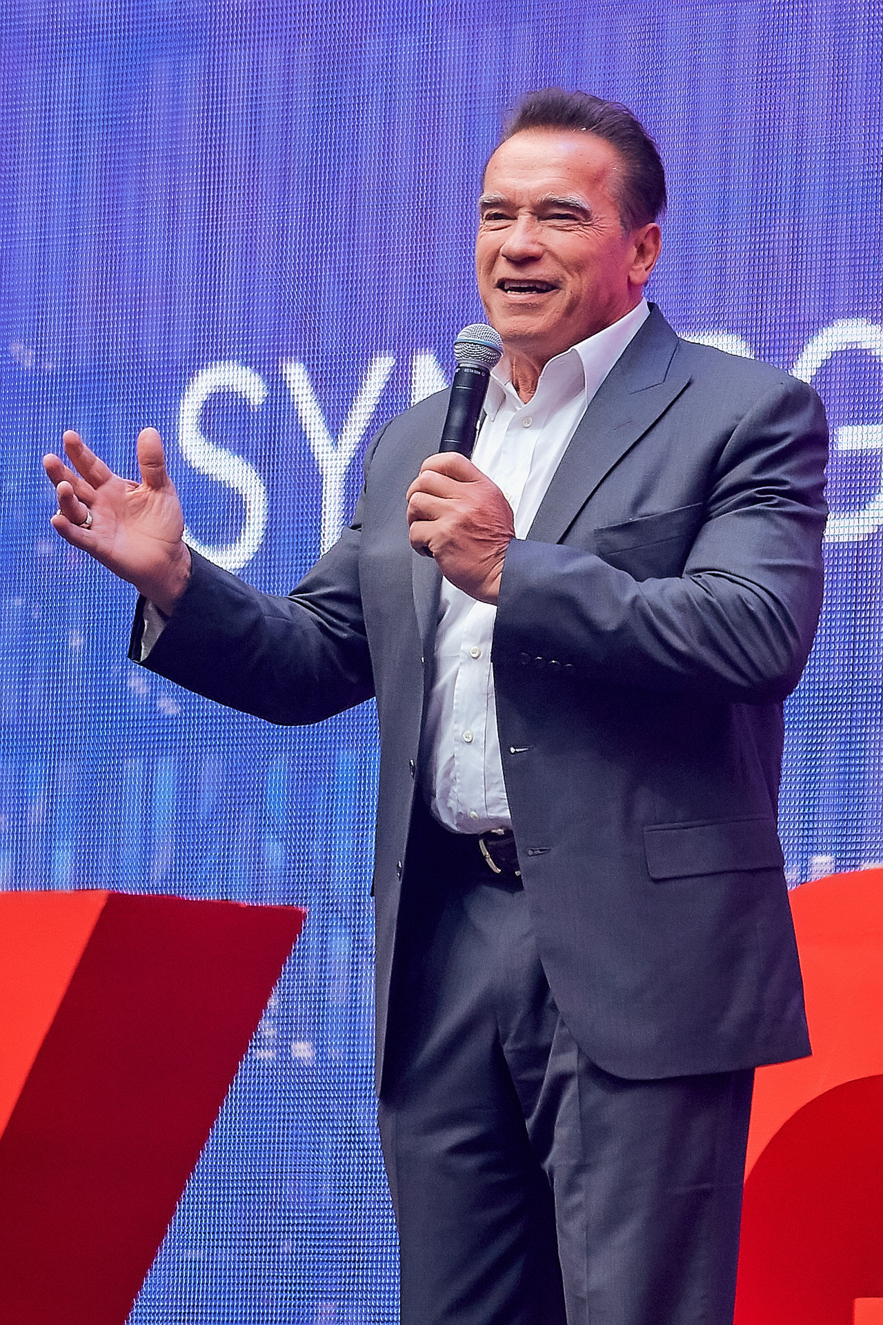 SYNERDY GLOBAL 2019