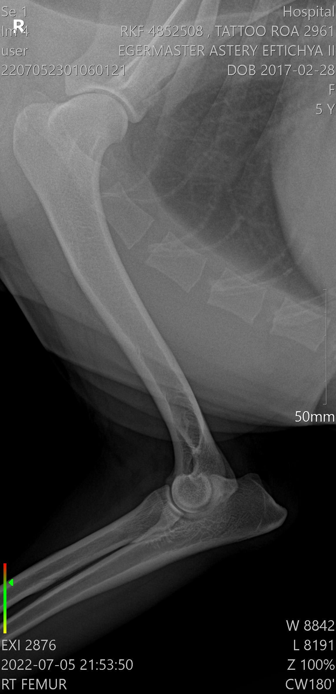 Здоровье. Главная