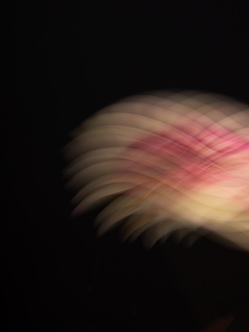 Нейросети и фотография. Предметный фотограф Дарья Штерн из Санкт-Петербурга