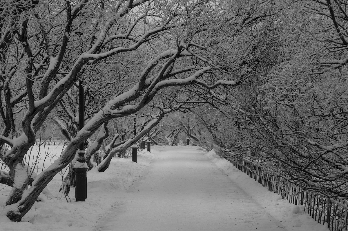 Пейзаж. Портретный фотограф в Москве Михаил Воронцов