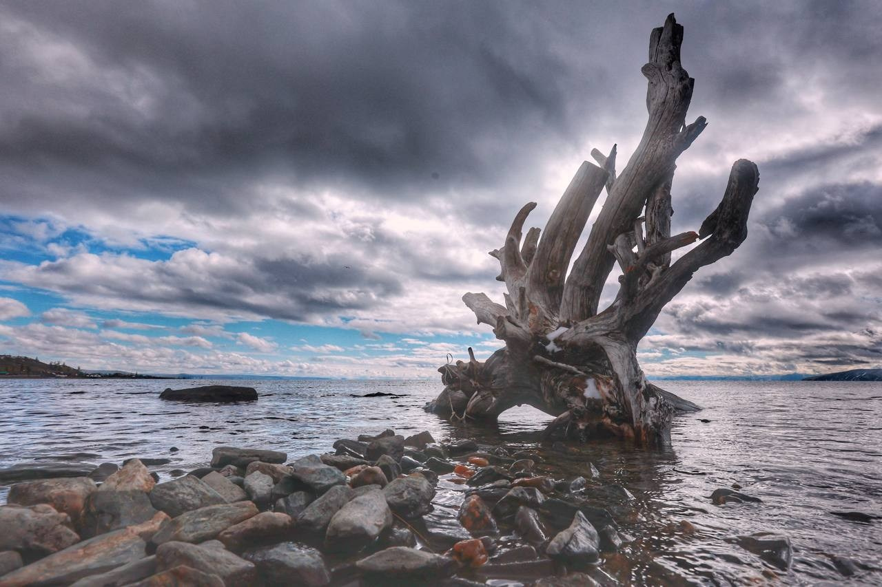 2024. Тащилин Сергей. Фотографии. Жизнь. Хобби