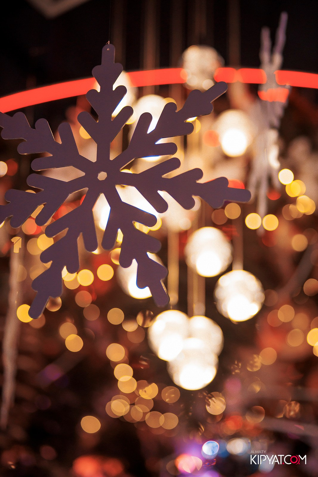 FRIENDS BAR & TERRACE. КИПЯТКОМ АЛМАТЫ! Фотосъемка мероприятий в Алматы