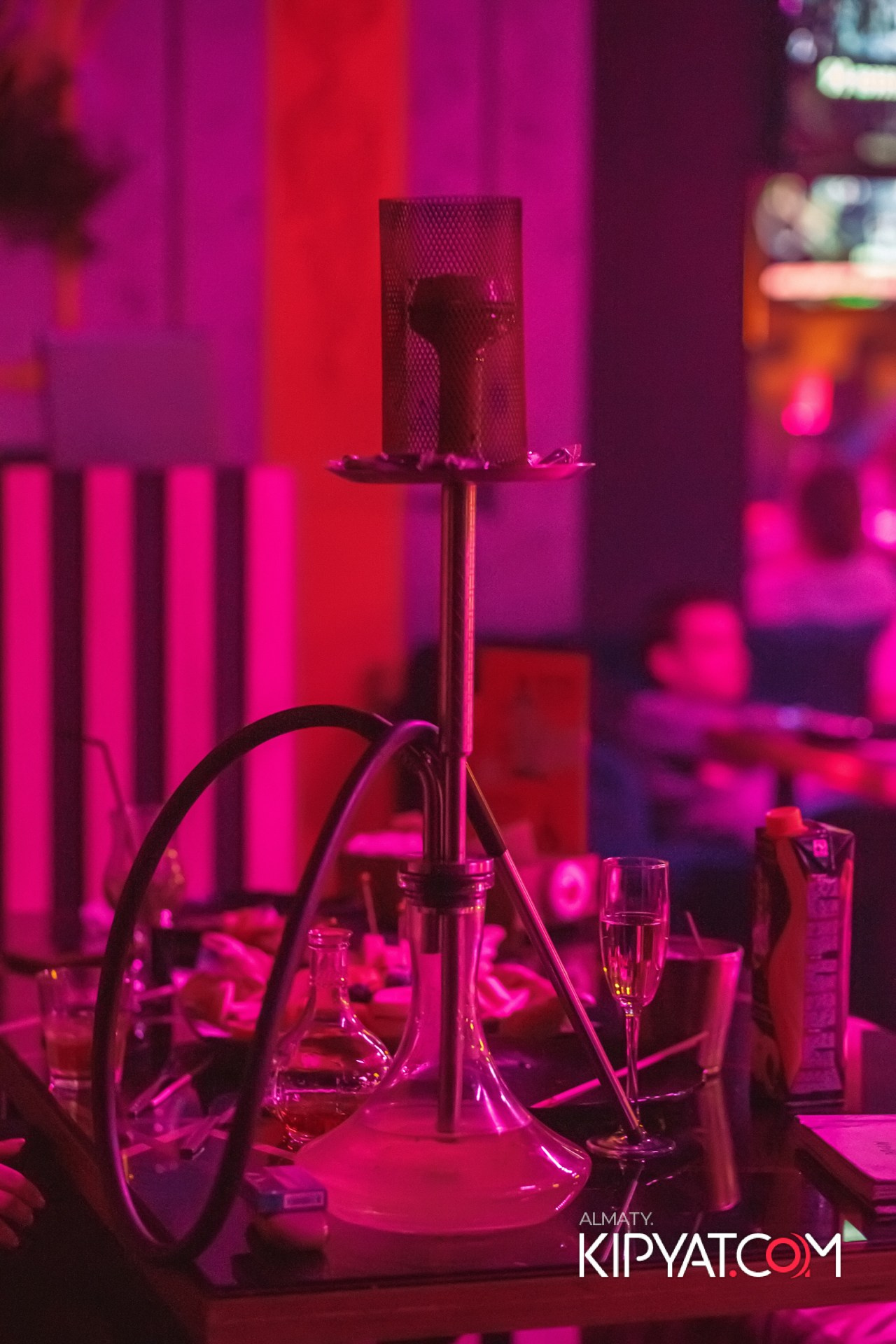 УХО И МЕДВЕДЬ ГАГАРИНА. КИПЯТКОМ АЛМАТЫ!