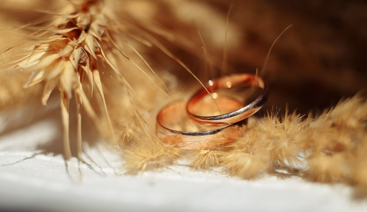 Свадебный фотограф, свадебный фотограф Станислав Петров, trend media group, свадебное фото, фотограф ижевск