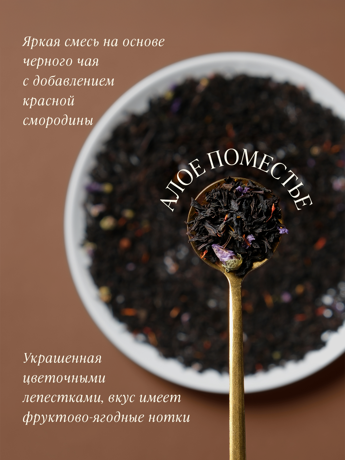 Пакеты чая TEAFORIA. Разработка фирменного стиля, брендбука, логотипа (логобука), инфографика для маркетплейсов, Новосибирск