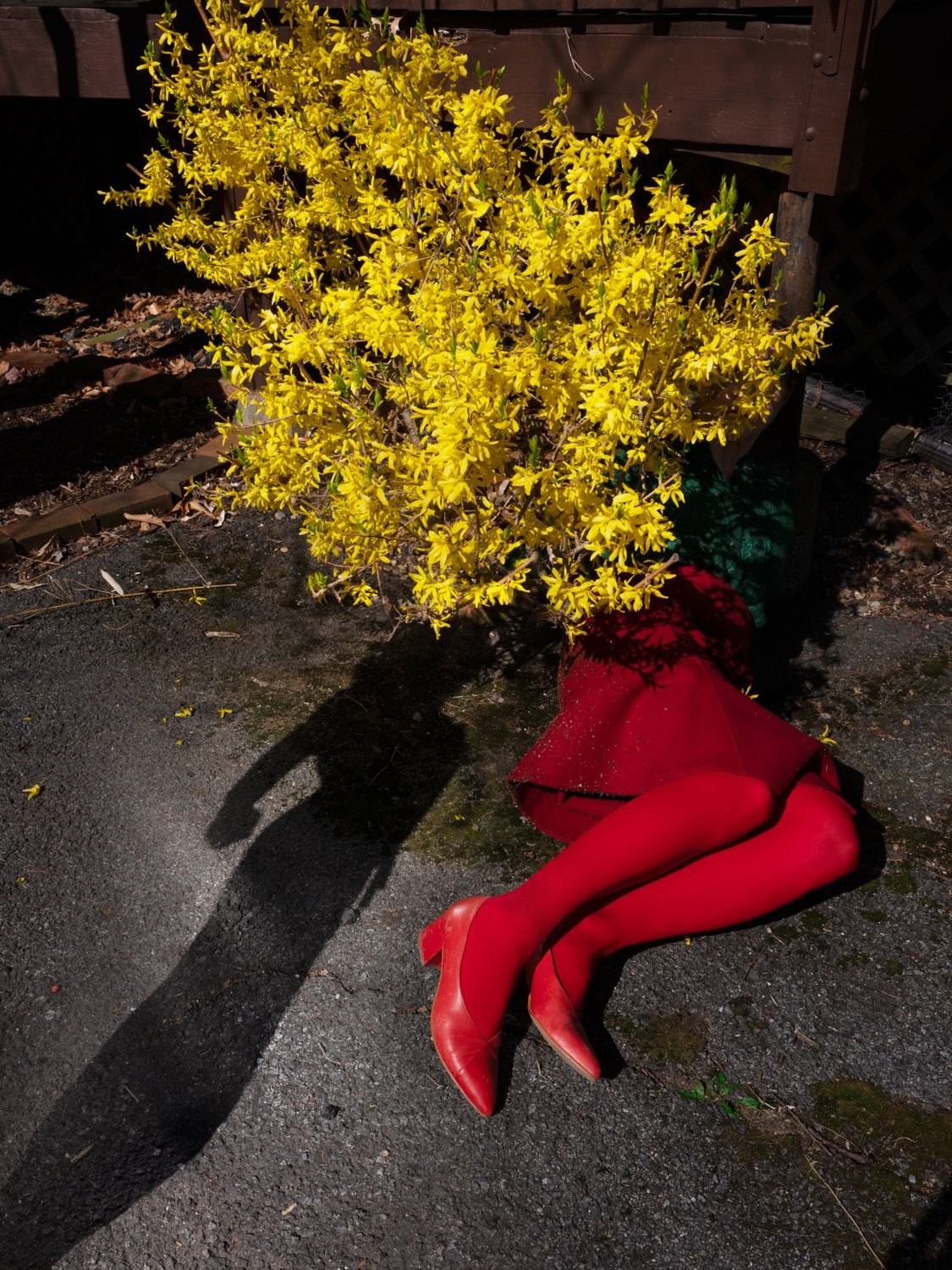 Магическая серия про материнство. Репортажный фотограф в Сочи — Михаил Мордасов