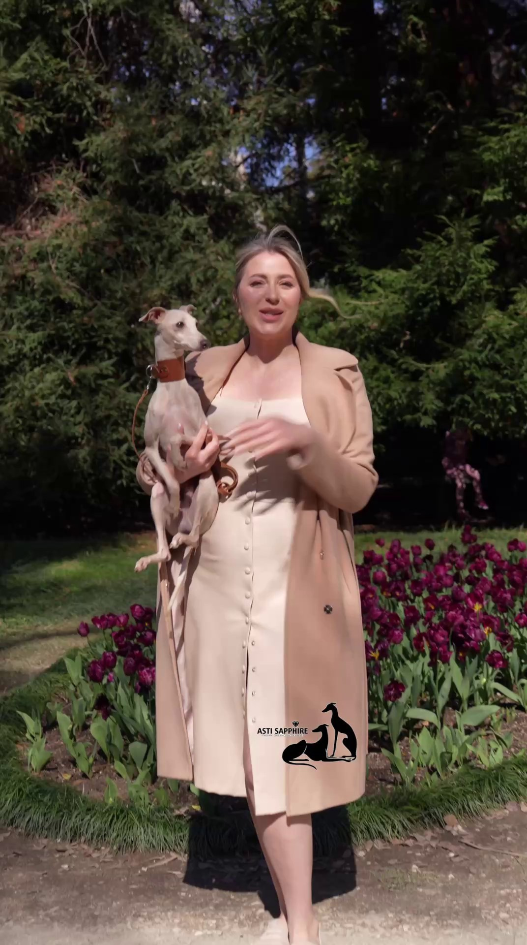 Asti Sapphire Tsezar Ruier Empire. Профессиональный питомник левреток РКФ/FCI ASTI SAPPHIRE 💎 Сочи|Санкт-Петербург