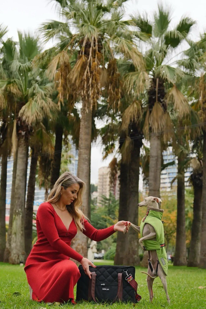 Путешествия. Профессиональный питомник левреток РКФ/FCI ASTI SAPPHIRE 💎 Сочи|Санкт-Петербург