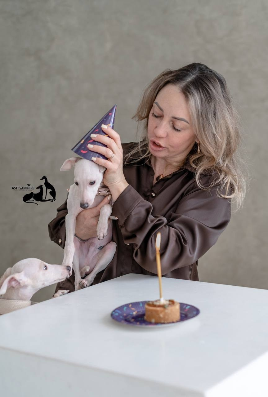 Casper boss & Clyde & Klaus. Профессиональный питомник левреток РКФ/FCI ASTI SAPPHIRE 💎 Сочи|Санкт-Петербург